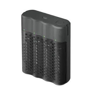GP USB batterijlader P461 inclusief 4 x AA 2000 RECYKO Pro