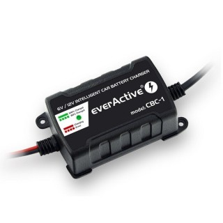 INTELLIGENTE ACCULADER 6/12v 1,0Ah