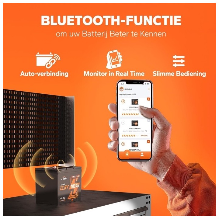 LiTime 12VOLT 100AH GROUP24 BLUETOOTH